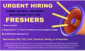 Zigma Global Environ Freshers Jobs 2025